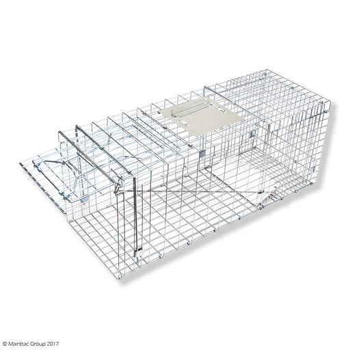 Large Cage Traps x 5