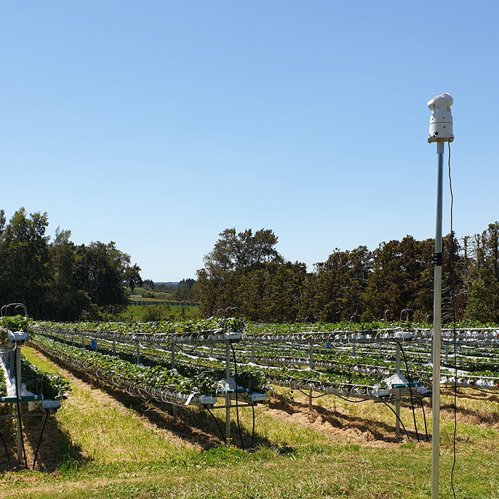 Laser bird deterrents for crops and vineyards – it’s now a reality