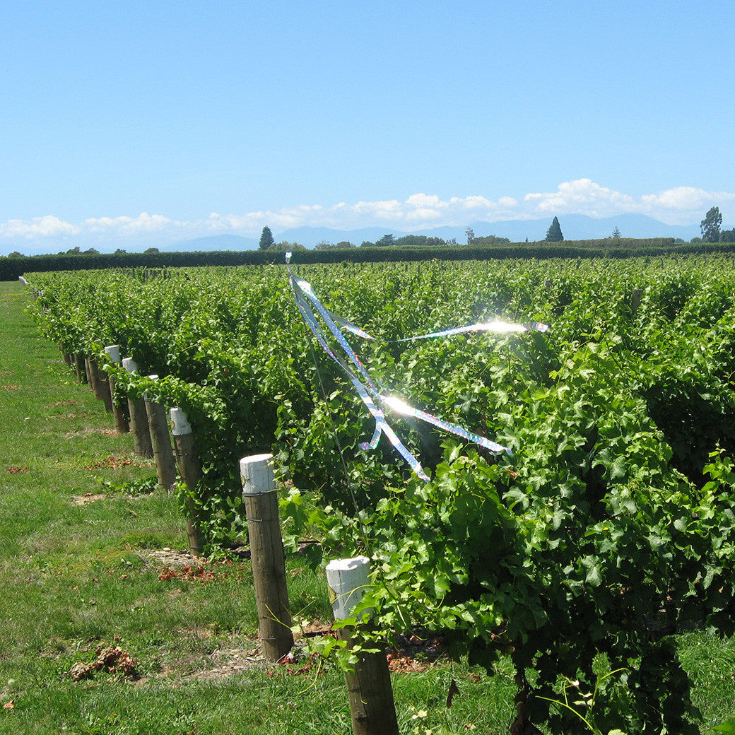 Bird Control in Vineyards