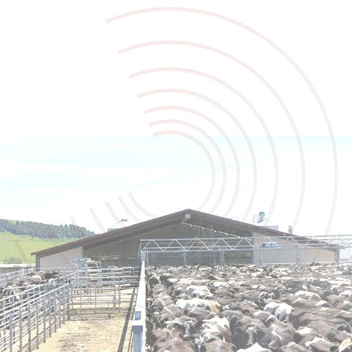 Bird Control in Dairy Sheds