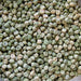 Alphachloralose Peas