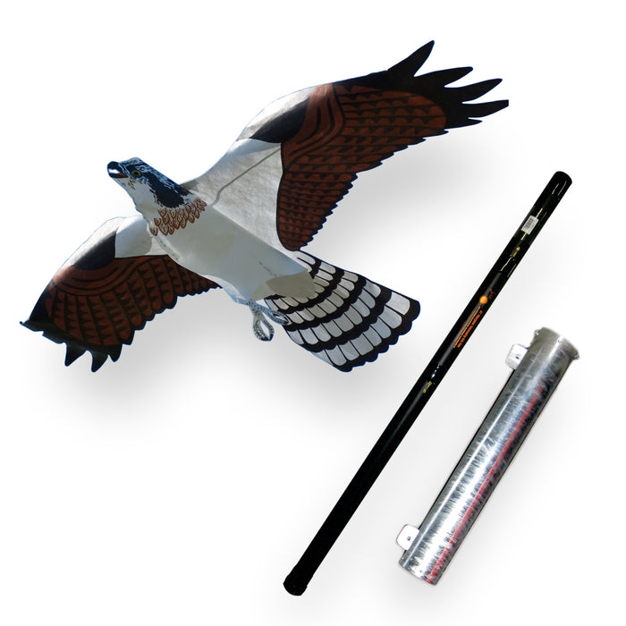 Predator Kite Package