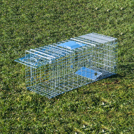 Cat Trap - Large Cage