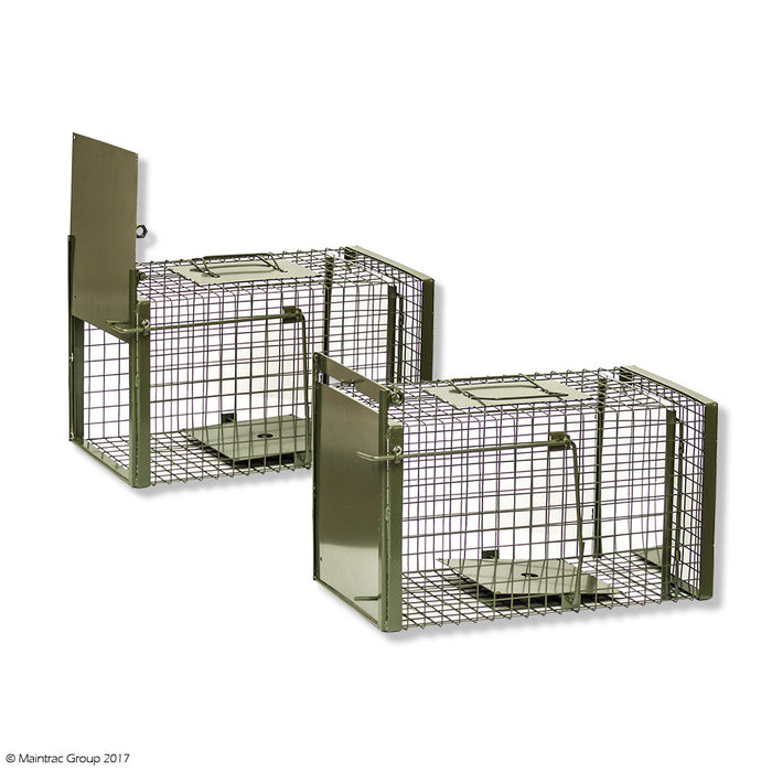 Magpie & Animal Trap - 2 Pack