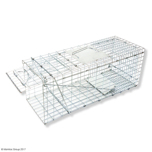 Cat Trap - Medium Cage