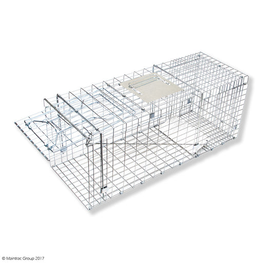 Cat Trap - Large Cage