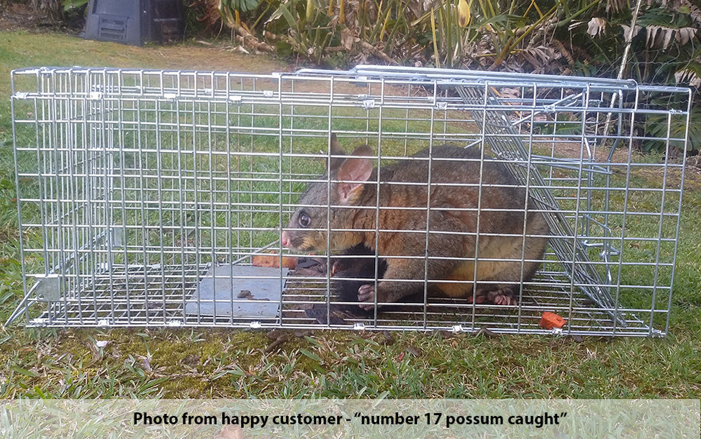 Possum Traps NZ Humane Possum Traps — Maintrac Group
