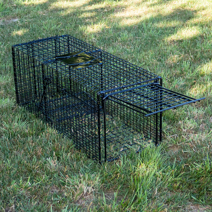 Professional Cage Trap, Cat Trap, Possum Trap