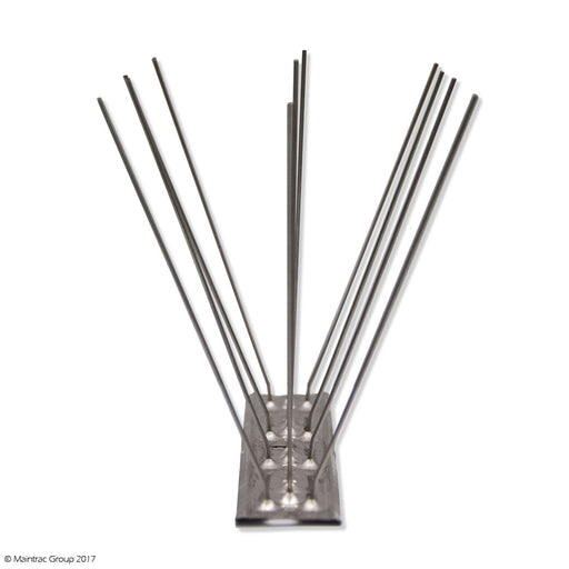 Stainless Steel Spikes & Base