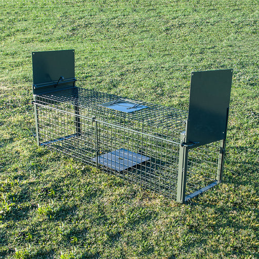 Dog & Large Animal Trap — Maintrac Group