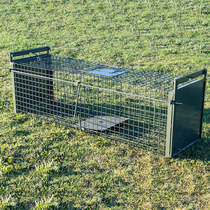 Dog & Large Animal Trap — Maintrac Group