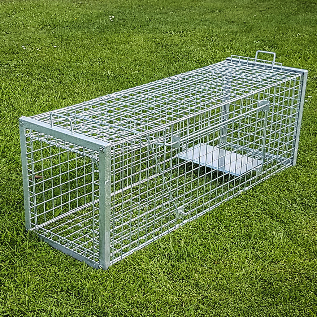 Dog & Large Animal Trap — Maintrac Group