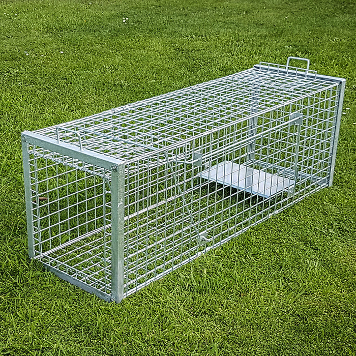Wild Dog Control Dog Trap Fox Trap Large Cage Trap - China Dog Catch Items  and Dog Catching Equipment price