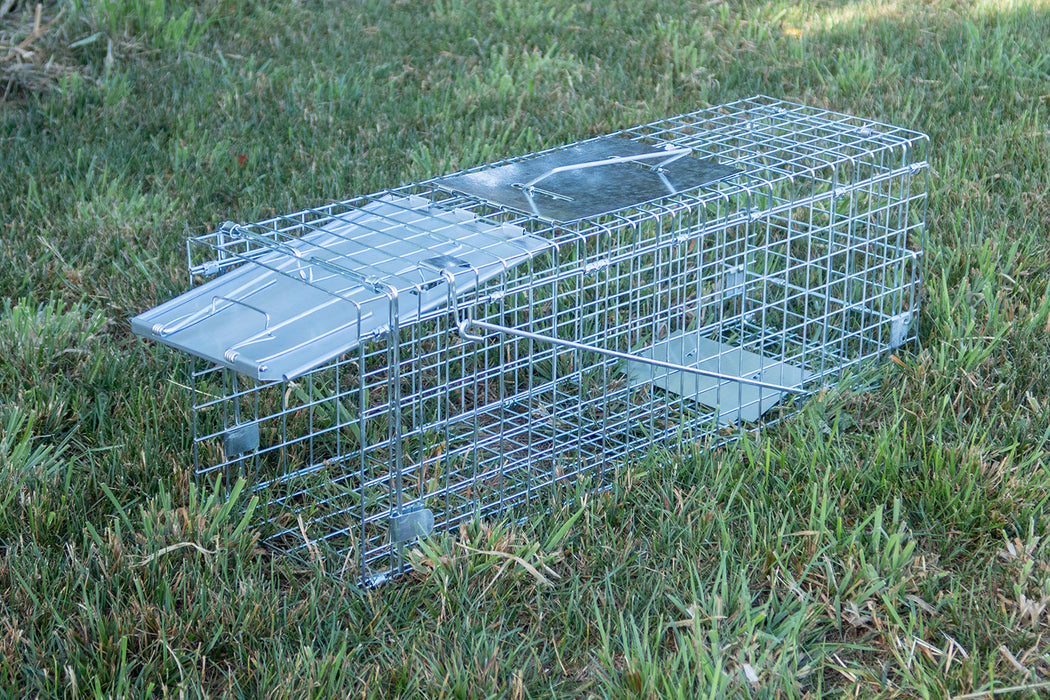 Small Cage Trap Open