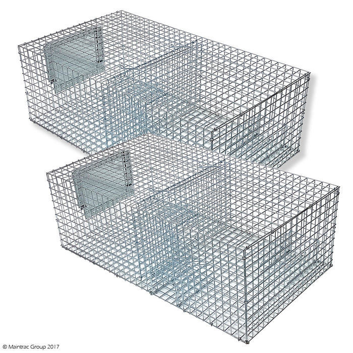 Sparrow Trap - Multi Capture - 2 Pack